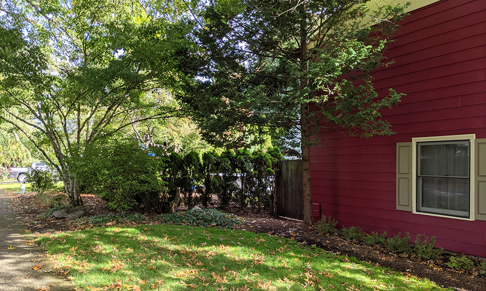 House Side Yard View